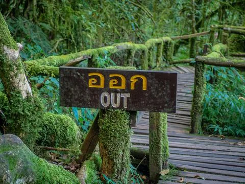 Exit sign Rainforest background Stock Photos