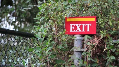 Exit Sign at the Zoo Stock Footage 71367322
