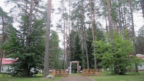 Exit wedding registration on the background of the forest Stock Footage 101977951