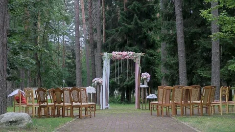Exit wedding registration on the background of the forest Stock Footage 101978012