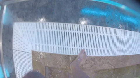 Exit from the whirlpool in the wellness center Stock Footage 115500027