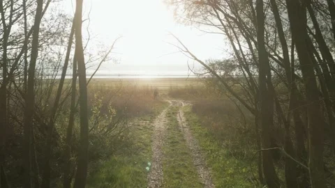 Exiting forest into the beach Video stock 254592580