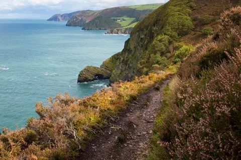Exmoor Coast Path Stock Photos