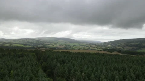 Exmoor-Devon-Forest Stock Footage 161961673