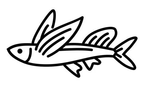 Exocoetidae. Flying fish icon vector. fish icon glyph style design on white b 스톡 일러스트