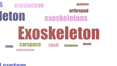 Exoskeleton Tag Cloud Animated On White Background Stock Footage 103563650
