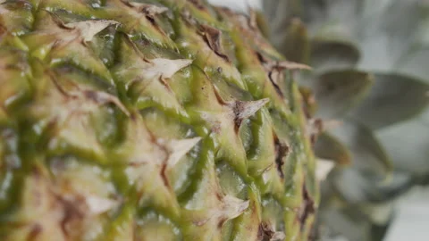 Exotic Ananas comosus fruit surface texture 4K sliding video Stock Footage 145736801