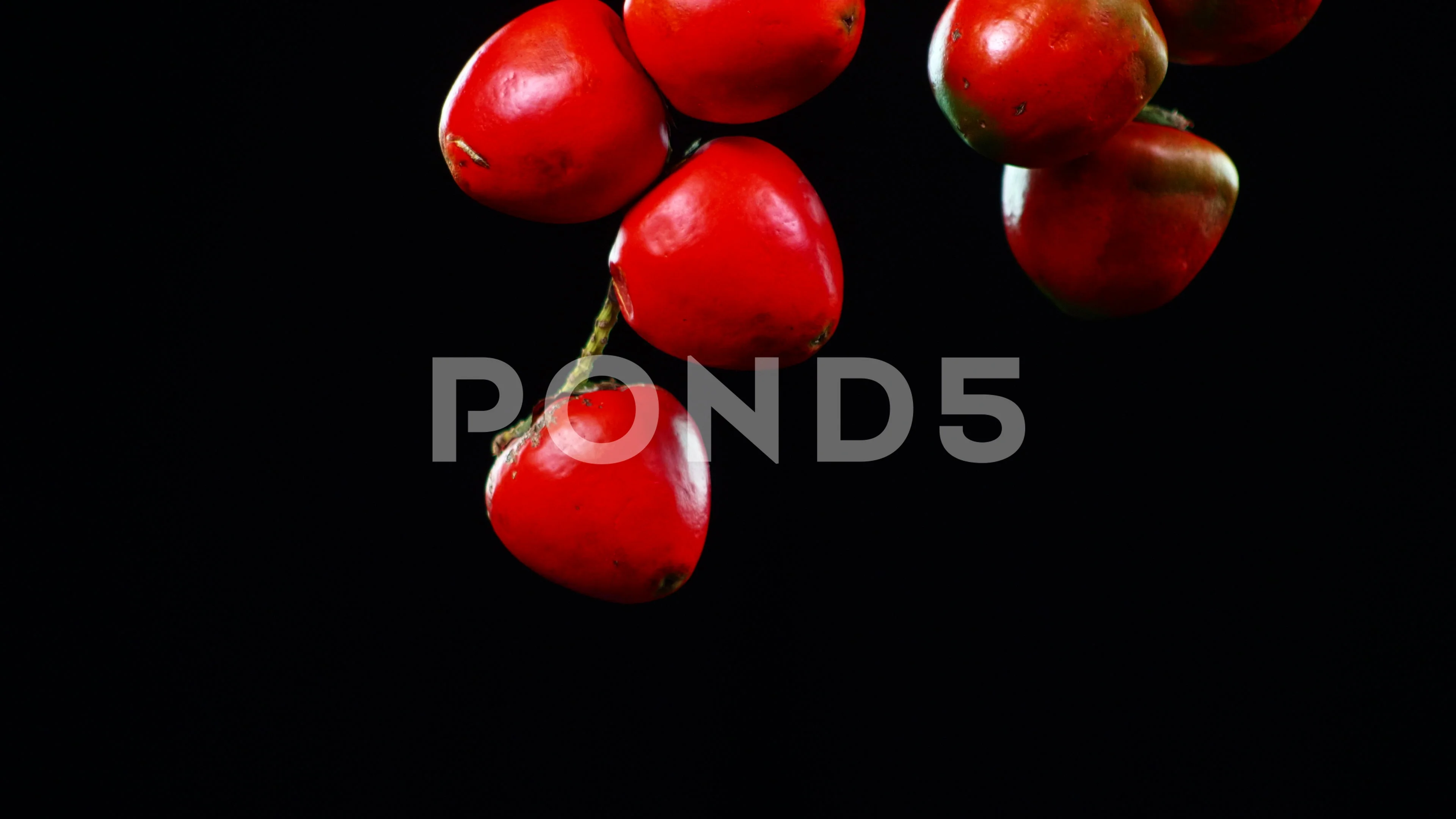 exotic aphrodisiac fruit from the colombian amazon