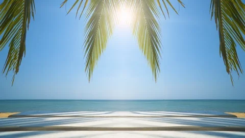 Exotic beach and palm tree on sea coast at sunny day with blue sky. Tropical Stock Footage 110245071