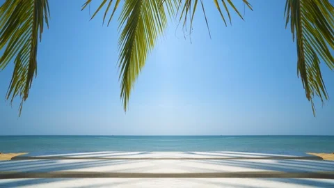 Exotic beach and palm tree on sea coast at sunny day with blue sky. Tropical Stock Footage 115012505
