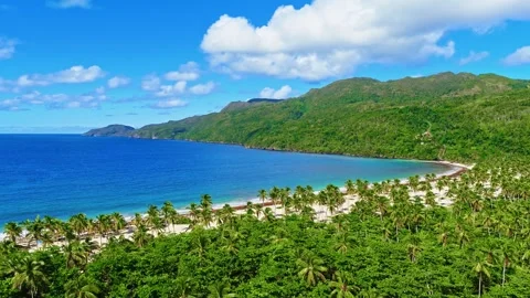 An exotic beach with coconut palms and a turquoise ocean on a paradise island. Vídeo Stock 329285125
