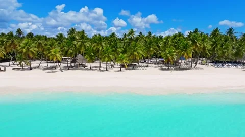 An exotic beach with coconut palms and a turquoise ocean on a paradise coast. Stock-Footage 340168312