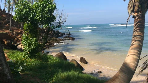 Exotic Beach Lagoon 스톡 동영상 85933709