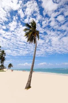 Exotic beach Stock Photos