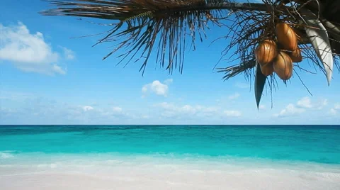Exotic beach scenery with some coconuts at foreground Stockbeeldmateriaal 34814029