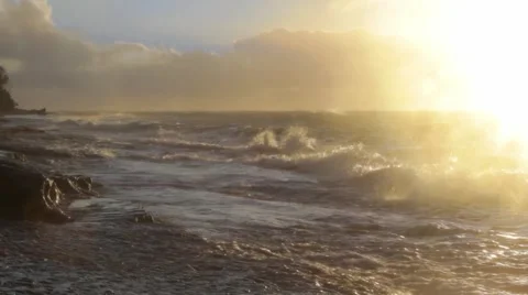 Exotic Beach Sunrise Stock Footage 3980653