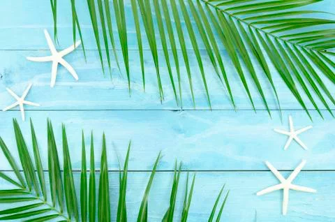 Exotic beach top view concept with tropical palm leaf branch and starfishes Stock Photos