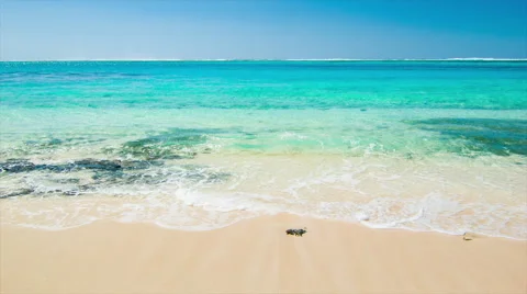 Exotic Beachfront Close-up Stock Footage 61092993