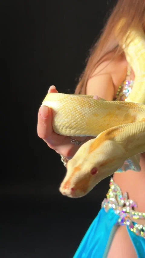Exotic Belly Dancer Posing with Yellow Python Video stock 329906400