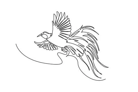 Exotic bird of paradise in mid-flight, displaying its widespread wings Stock Illustration
