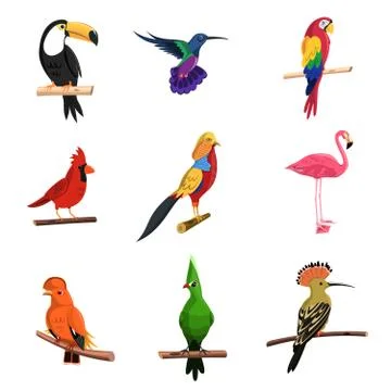 Exotic Birds Set Stock Illustration
