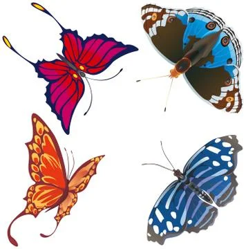 Exotic butterflies. Stock Illustration