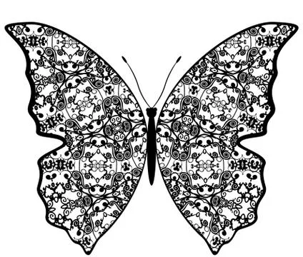 Exotic butterfly abstract patterns. Stock Illustration