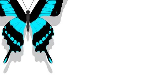 Exotic butterfly with blue pattern on a white background Stock Illustration