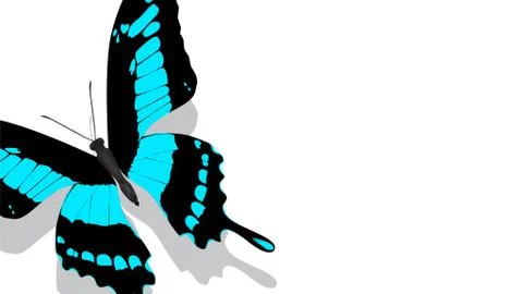 Exotic butterfly with blue pattern on a white background Stock Illustration
