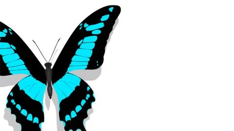 Exotic butterfly with blue pattern on a white background Stock Illustration