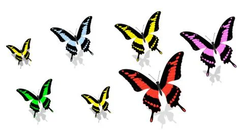 Exotic butterfly of different size and color, random order, top view Stock Illustration