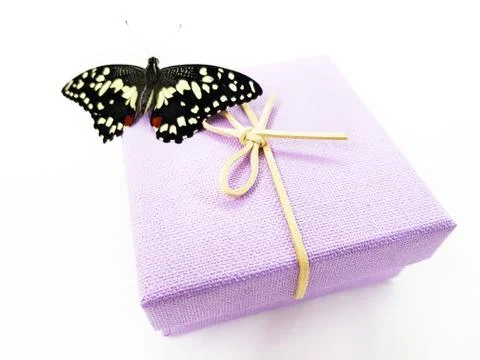 Exotic butterfly on gift box Stock Photos