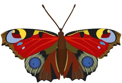  exotic butterfly. Stock Illustration