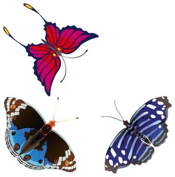 Exotic butterfly. Stock Illustration