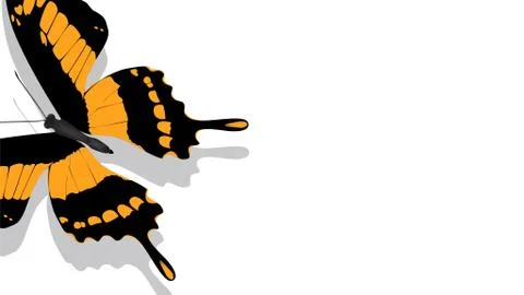 Exotic butterfly with orange pattern on white background Stock Illustration