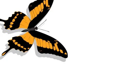 Exotic butterfly with orange pattern on white background Stock Illustration
