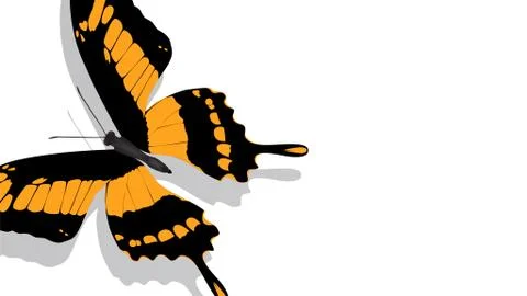 Exotic butterfly with orange pattern on white background Stock Illustration