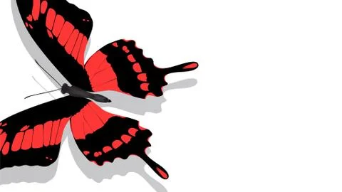 Exotic butterfly with a red pattern on a white background Stock Illustration