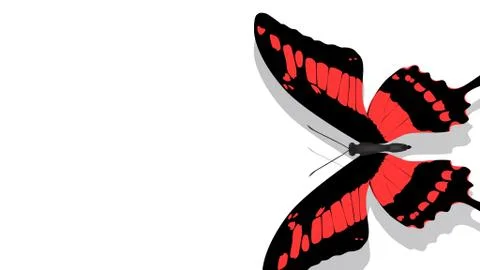 Exotic butterfly with a red pattern on a white background Illustrazione stock