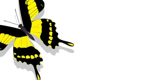 Exotic butterfly with yellow pattern on a white background Illustrazione stock