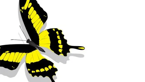 Exotic butterfly with yellow pattern on a white background Stock Illustration