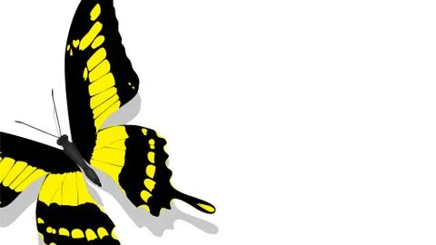 Exotic butterfly with yellow pattern on a white background Stock Illustration