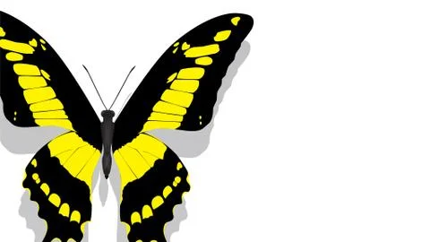 Exotic butterfly with yellow pattern on a white background Stock Illustration