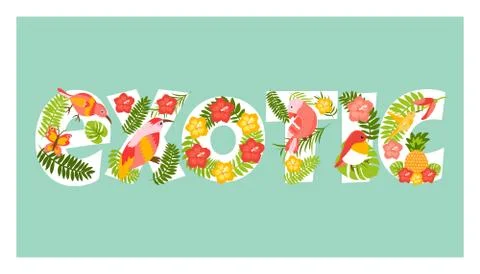 Exotic card with tropical elements and symbols Stock Illustration