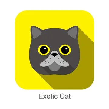 Exotic Cat, Cat breed face cartoon flat icon design Stock Illustration