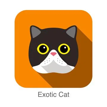 Exotic Cat, Cat breed face cartoon flat icon design Stock Illustration