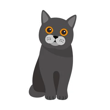 Exotic cat standing, flat icon design, vector illustration Stock Illustration