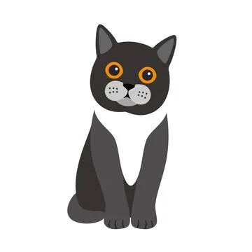 Exotic cat standing, flat icon design, vector illustration Stock Illustration