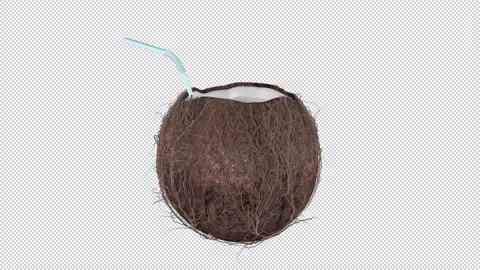 Exotic Coconut Nut Alpha Channel Looped Video Stock Footage 150790123