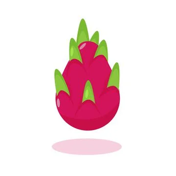 Exotic dragon fruit icon vector illustration. Helthy vegan organic food. Stock Illustration